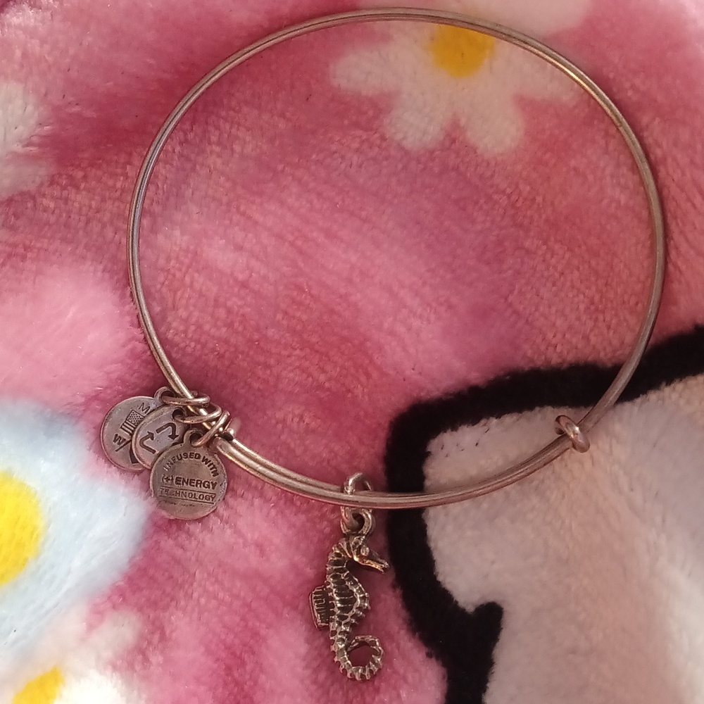 Alex and Ani Bracelet